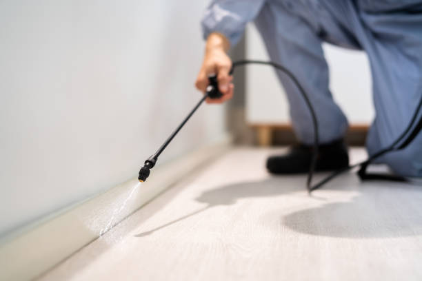 Licensed Rodent Control service in Monroe County County, IN - Nex Pest Control