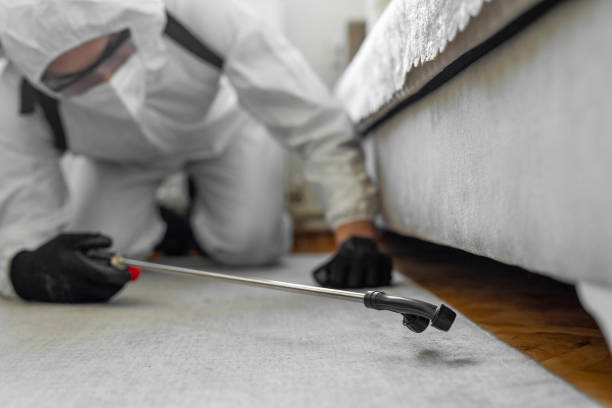 Professional Rodent Control technician working in Monroe County County, IN